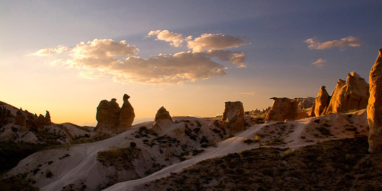 Cappadocian Camel